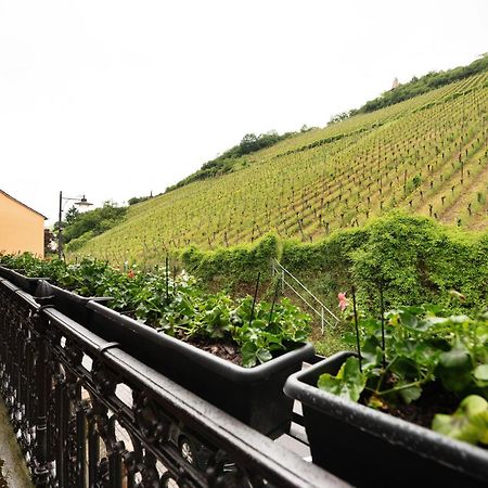 Alte Stadtvilla Am Weinberg 3 Traben-Trarbach Εξωτερικό φωτογραφία